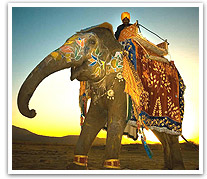 Rajasthan Fair & Festivals